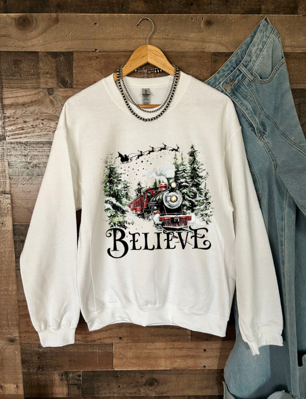 Polar Express Nursing Sweatshirt